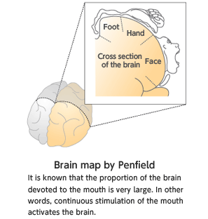 Brain map by Penfield